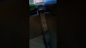 заклинило_задний_Ремень безопасности Lada vesta