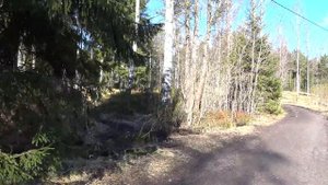 ВЕСЕННЯЯ ЛОВЛЯ СИГА НА ФИНСКОМ ЗАЛИВЕ ! ПОКУПКА РАЗРЕШЕНИЯ ! РЫБАЛКА В HELSINKI !