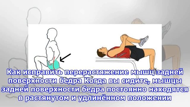Как правильно составить комплекс упражнений для растяжки после тренировки смотреть онлайн