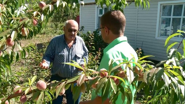КОНСУЛЬТАНТ САДОВОДА 40 смотреть онлайн