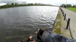 Нано джиг на Москва реке и Борисовских прудах ! Gammarus NJ в деле !!!