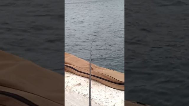 Причалы городской черты, город Балтийск. смотреть онлайн