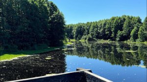 Мордовская знаковая система