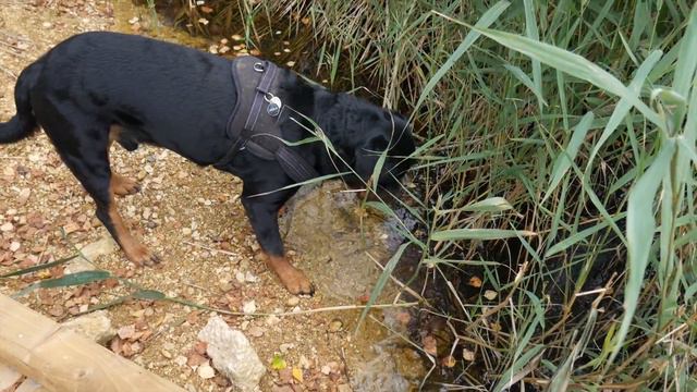 500 SUBSCRIBERS + GIVEAWAY (PSN/XBOX/iTUNES/GOOGLE PLAY/STEAM TOP UPS) смотреть онлайн