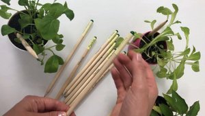 Растущие карандаши