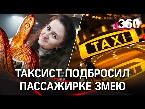Змея напала на пассажирку Яндекс.Такси. Все живы, но развязка неожиданная
