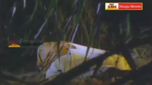 Chiranjeevi All Time Super Hit Song - Punnami Ratri Full Video Song | Punnami Nagu Movie Song
