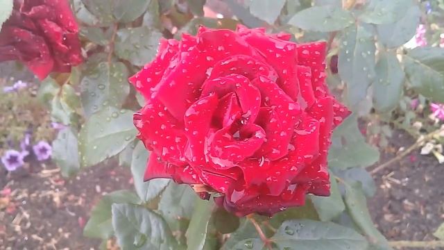 Желаю всем хорошего настроения, добрый день смотреть онлайн