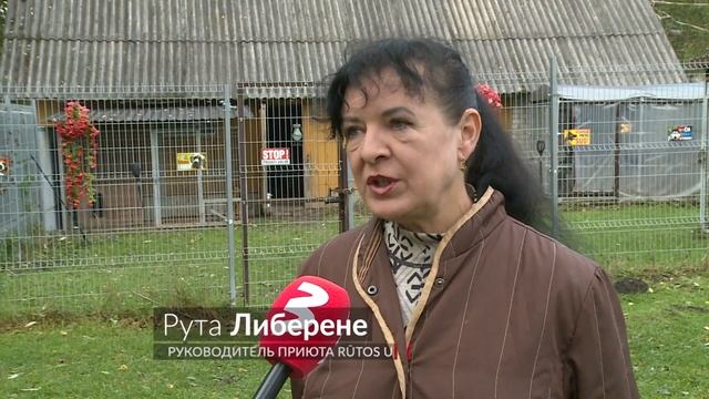 Козёл стал лучшим другом в собачьем приюте смотреть онлайн