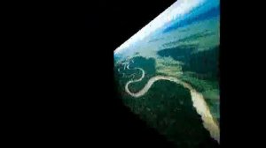 Дождевые леса Амазонки