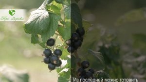 Гемоглобин взлетает до небес! Простые и доступные продукты от анемии