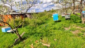 ОБЗОР МОЕГО ДОМА В ДЕРЕВНЕ***ГДЕ Я ЖИВУ???*** Что есть в деревне ?Что делать в деревне?