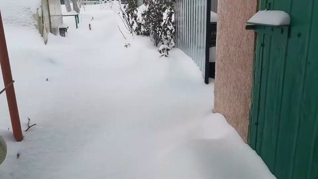 На дачу просто так не зайти. Сначала зарядка смотреть онлайн