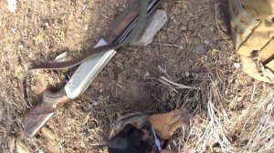 Охота на кеклика в  Кыргызстане. Узгенский район.