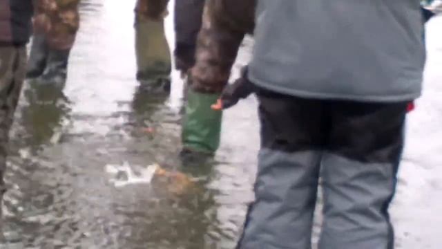 рыбалка-1 (кировоград) смотреть онлайн