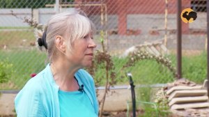 Планировка сада. Ландшафтные хитрости 79