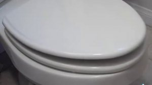 офигевшая крышка унитаза падает под жёский дабстеп