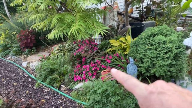 Fall cleanup and harvest time! Garden Talk Episode 14