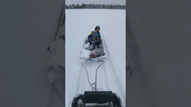 на рыбалку поедим ловить окуней.