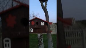 Современная маленькая дача своими руками