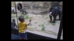 СМЕШНАЯ ОБЕЗЬЯНА В ЗООПАРКЕ