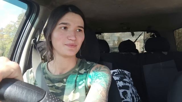 Аисты полетели на юг... Но что-то пошло не так. смотреть онлайн