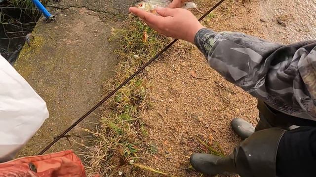 ПОПАЛИ НА РАЗДАЧУ РЫБЫ. Канавы в глухомани полные рыбы. Рыбалка на экраны. смотреть онлайн