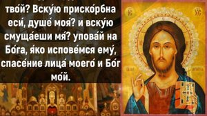 ПРОЧТИ СКОРЕЕ И ОГРАДИ СЕБЯ ОТ ЛЮБОЙ БЕДЫ. Иисусова молитва на день. Слава Богу за все даяния