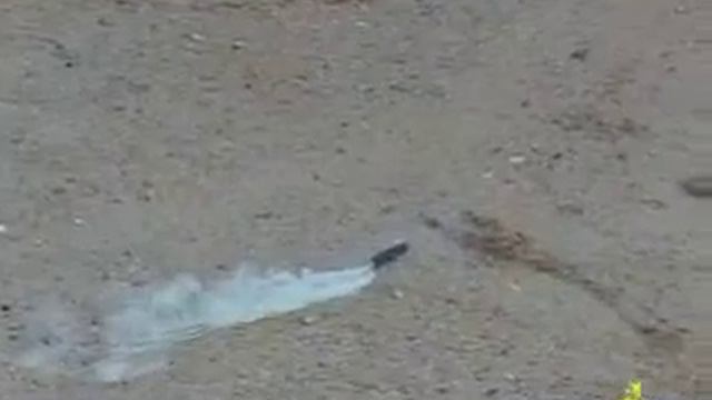 P1101 смотреть онлайн