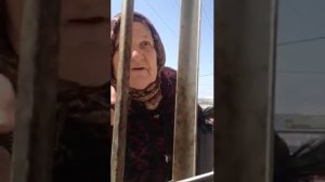 Бакинский автобус