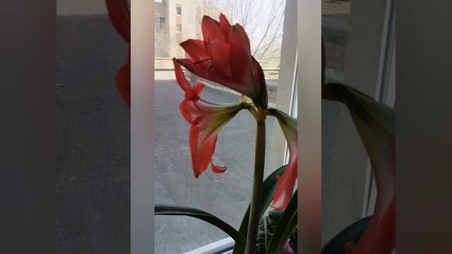 YouCut_20230322_135501281.mp4