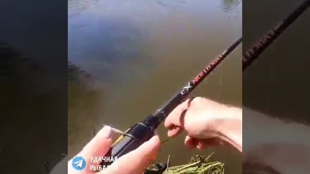 Мастерица