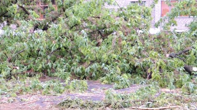 Последствия сильного ветра в Мичуринске - The Consequences Of The Strong Wind