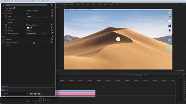 Circle Crop Video or Image Effect in Premiere Pro смотреть онлайн