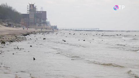 Сокровища Янтарного берега