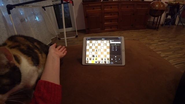 Подарок от Деда Мороза и его Внука☞ Светлячок77 смотреть онлайн