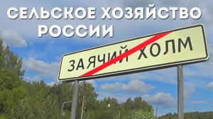 Положение дел в сельском хозяйстве РФ.