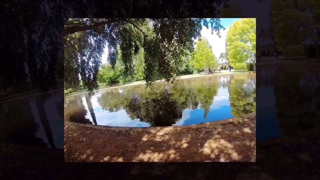 Я УВИДЕЛА КЕНГУРУ🦘 смотреть онлайн