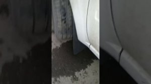 Брызгавик гранты своими руками