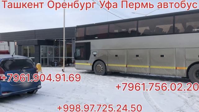Ташкент Оренбург автобус Ташкент Уфа автобус Ташкент Пермь автобус смотреть онлайн