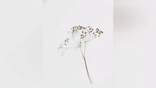 Turning Page | Sleeping At Last | Lyrics смотреть онлайн