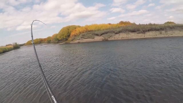 The Mongol River - The Hunt For Hucho Taimen (Part 2) смотреть онлайн