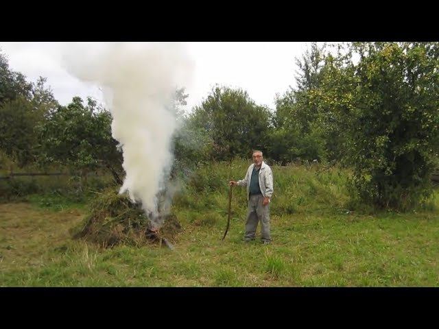 дер.Подлядье. На деревенском участке 2011г. август