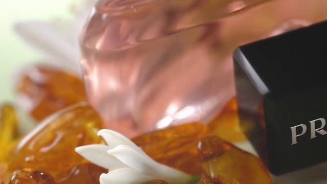 PRADA PARADOXE - Discover the ingredients смотреть онлайн