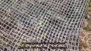 Армирование грунта. Заезд на участок.