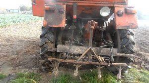 Посадка Чеснока сезон(2022-2023) трактором т 25 и ручками)