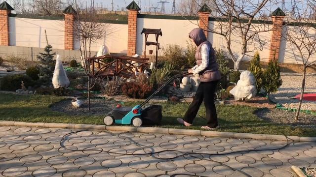 Газон весной. Как я восстанавливаю газон. Скарификация газона