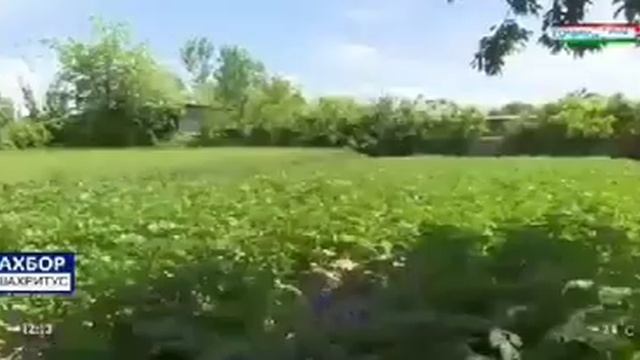 Таджикистан шахритуз смотреть онлайн