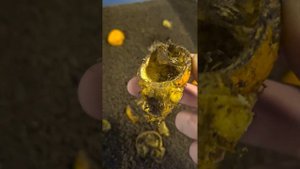 Черная львинка в рыбоводстве! рацион питания