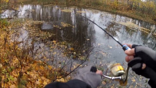 Ловля щуки осенью. Виброхвост Chimera Slade Minnow 4 смотреть онлайн